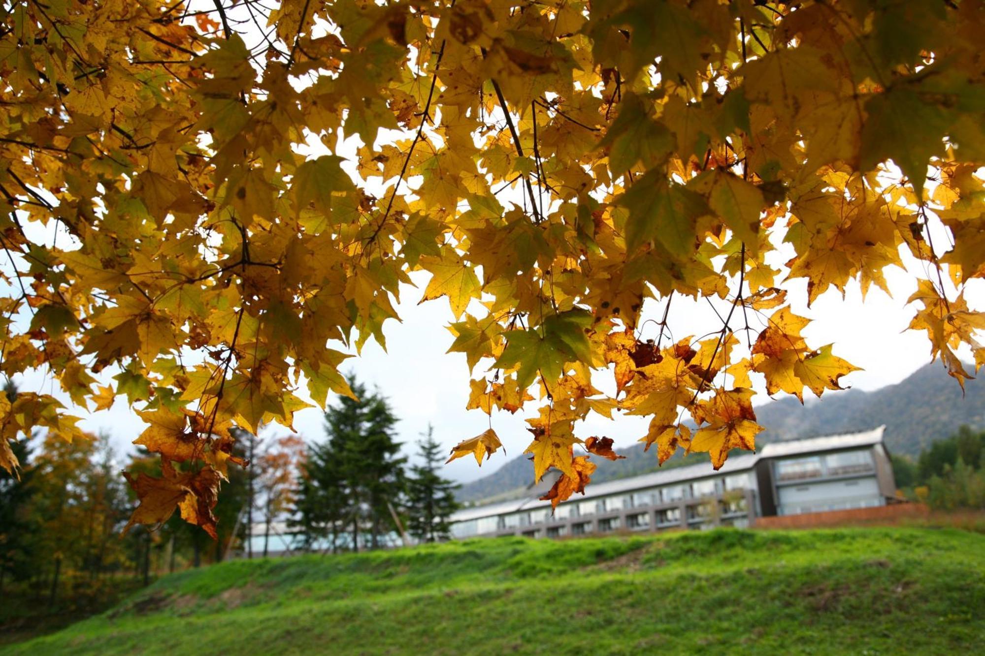 Furano Hotel Экстерьер фото