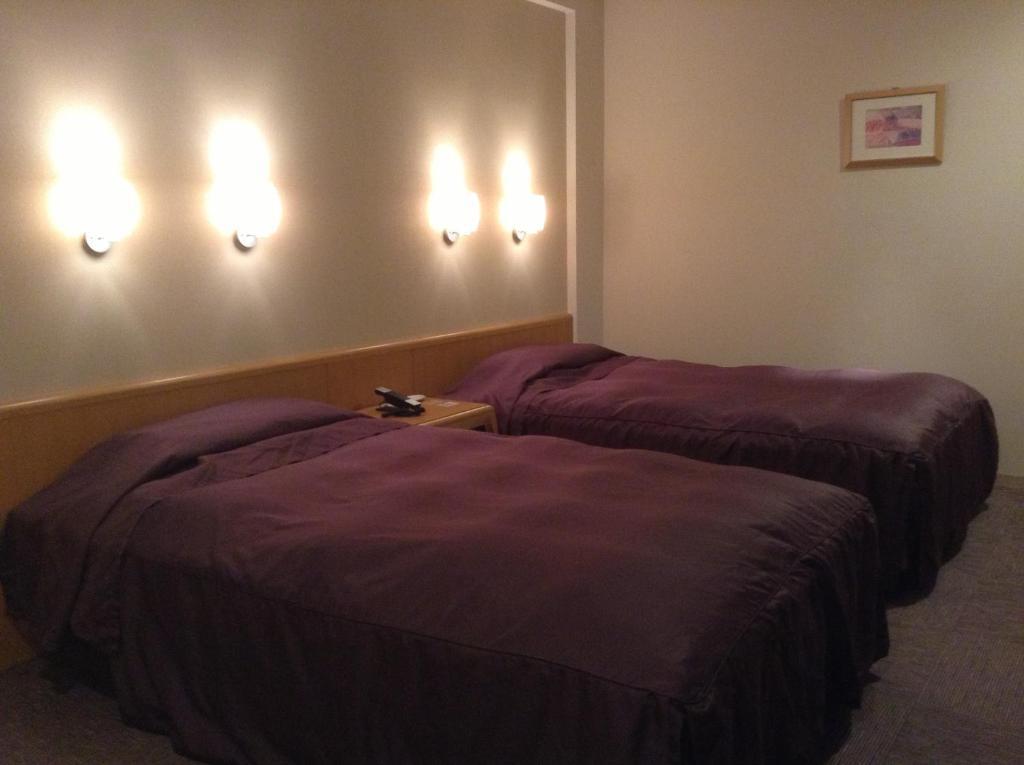 Furano Hotel Экстерьер фото